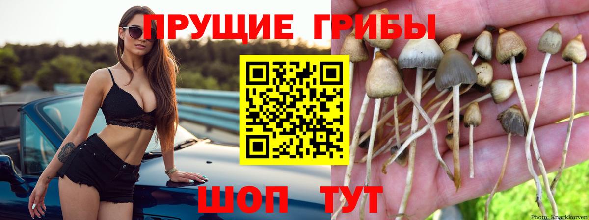 Галлюциногенные грибы ЛСД  Вход с VPN  Галлюциногенные грибы MAGIC MUSHROOMS  Киржач 